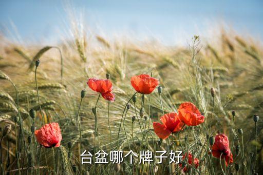 臺(tái)盆哪個(gè)牌子好
