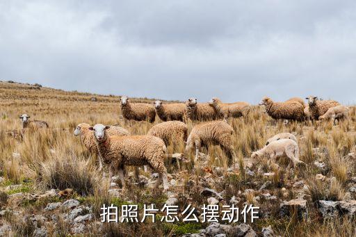 衛(wèi)浴拍照姿勢圖片女生