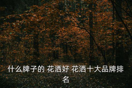 什么牌子的 花灑好 花灑十大品牌排名