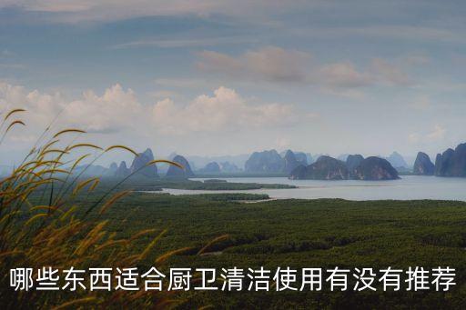 哪些東西適合廚衛(wèi)清潔使用有沒有推薦