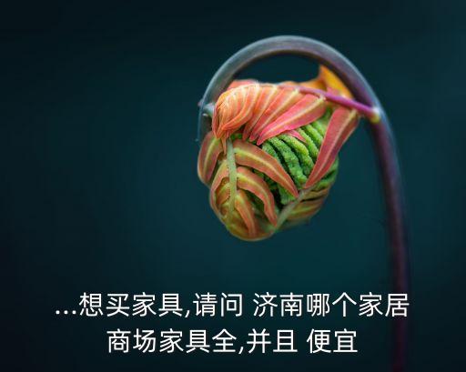 濟南在哪買品牌衛(wèi)浴便宜