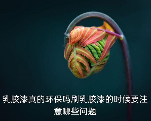 衛(wèi)浴直接噴涂料好看嗎圖片