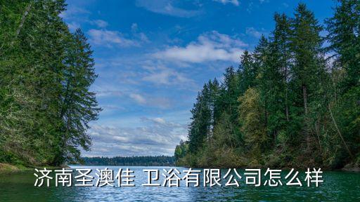 濟(jì)南圣澳佳 衛(wèi)浴有限公司怎么樣