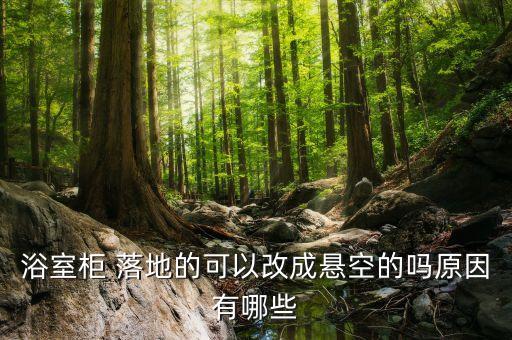 衛(wèi)浴石材落地效果圖片大全