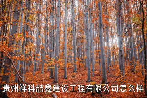 貴州祥科喆鑫建設(shè)工程有限公司怎么樣