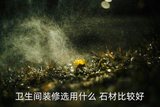 豪宅石材衛(wèi)浴圖片高清大全