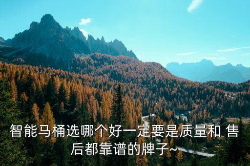 智能馬桶選哪個好一定要是質量和 售后都靠譜的牌子~