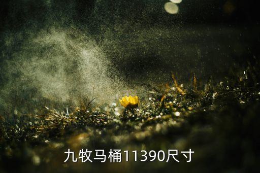 九牧馬桶11390尺寸