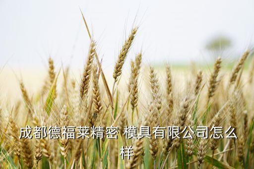  成都德福萊精密 模具有限公司怎么樣