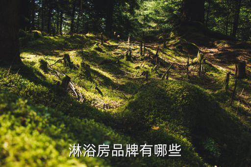 淋浴房品牌有哪些