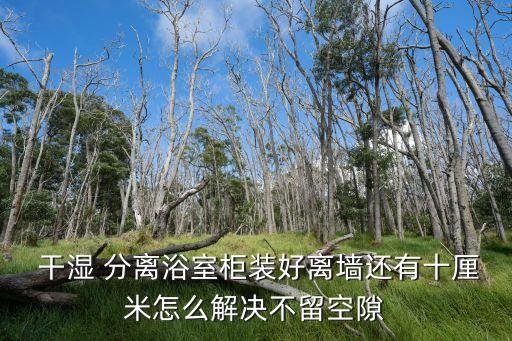 衛(wèi)浴洗手盆干濕分離圖片,干濕分離的洗手盆對著臥室門行嗎