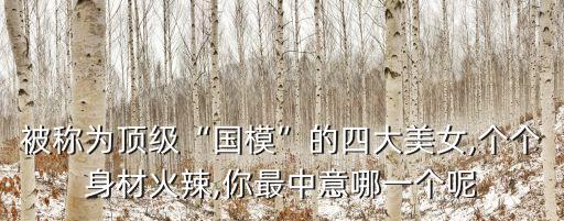 被稱為頂級“國?！钡乃拇竺琅?個個身材火辣,你最中意哪一個呢