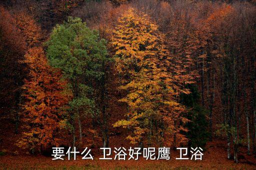 要什么 衛(wèi)浴好呢鷹 衛(wèi)浴