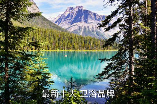 帝王衛(wèi)浴柜是幾線品牌