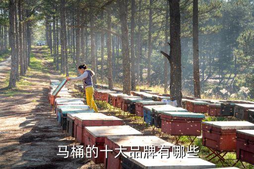 馬桶衛(wèi)浴品牌排榜前十名,全國衛(wèi)浴10大品牌馬桶有哪些