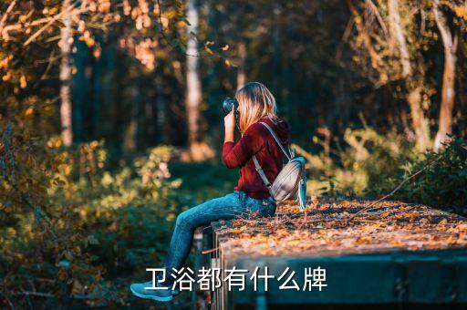  衛(wèi)浴都有什么牌