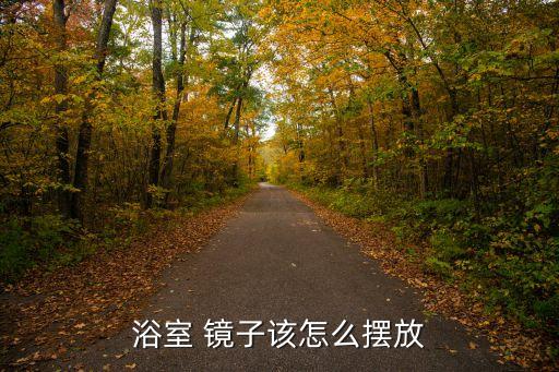 浴室 鏡子該怎么擺放