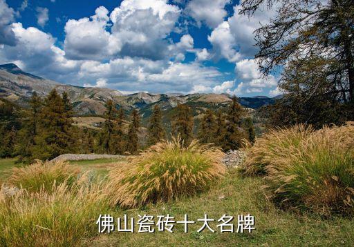 佛山瓷磚十大名牌