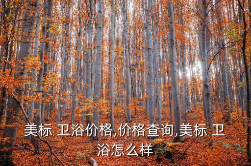 美標(biāo) 衛(wèi)浴價(jià)格,價(jià)格查詢(xún),美標(biāo) 衛(wèi)浴怎么樣