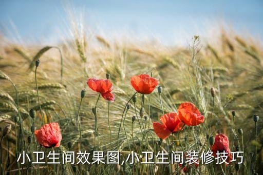 最新衛(wèi)浴門玻璃推拉門圖片,衛(wèi)浴玻璃推拉門的安裝視頻
