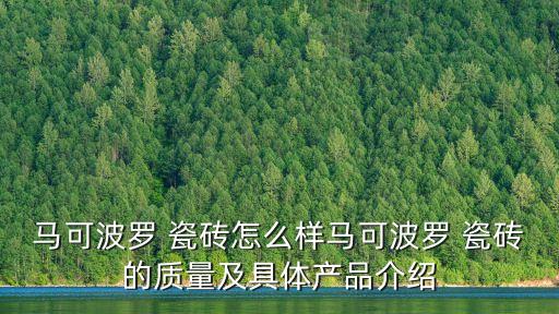 尚高衛(wèi)浴瓷磚品牌簡介圖片