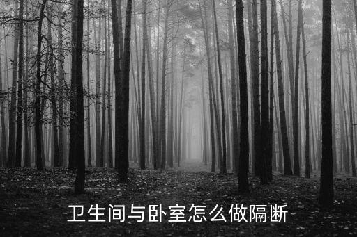 主臥衛(wèi)浴黑白色效果圖片