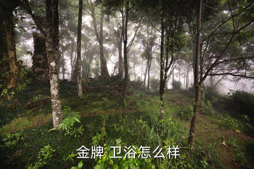 永川金牌衛(wèi)浴售后電話,金牌衛(wèi)浴的售后電話