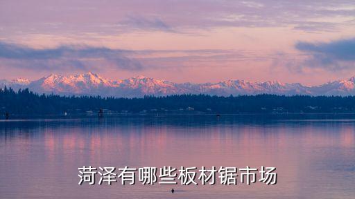 菏澤有哪些板材鋸市場(chǎng)