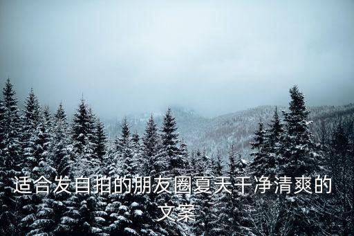 適合發(fā)自拍的朋友圈夏天干凈清爽的 文案