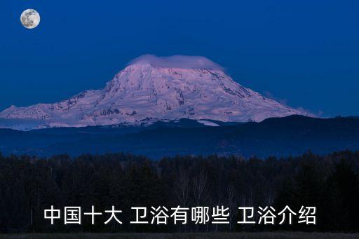 中國十大 衛(wèi)浴有哪些 衛(wèi)浴介紹