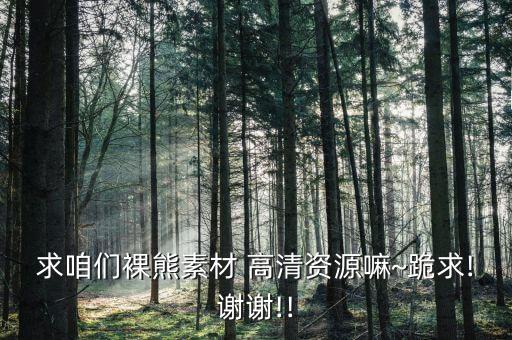 十只熊衛(wèi)浴圖片大全高清,十一只熊衛(wèi)浴圖片