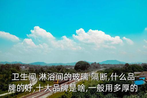 衛(wèi)生間 淋浴間的玻璃 隔斷,什么品牌的好,十大品牌是啥,一般用多厚的