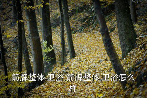 箭牌整體 衛(wèi)浴,箭牌整體 衛(wèi)浴怎么樣