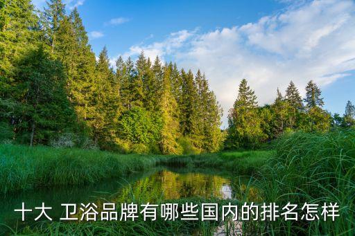 十大 衛(wèi)浴品牌有哪些國內(nèi)的排名怎樣