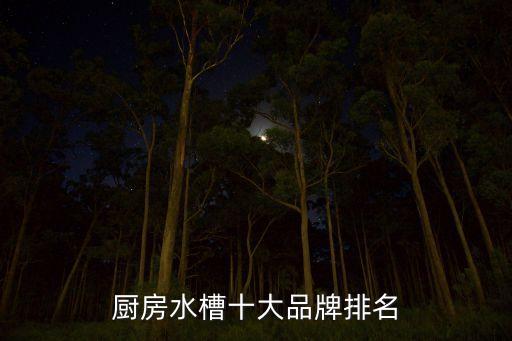 廚房水槽十大品牌排名