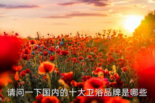 請問一下國內(nèi)的十大衛(wèi)浴品牌是哪些