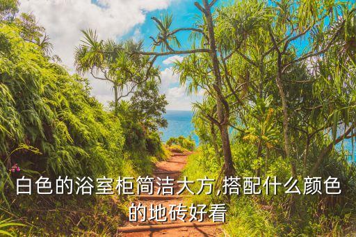 白色的浴室柜簡潔大方,搭配什么顏色的地磚好看