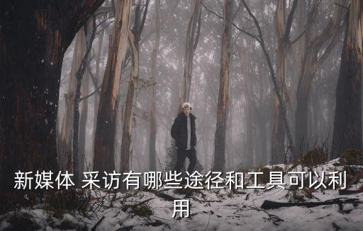 新媒體 采訪有哪些途徑和工具可以利用