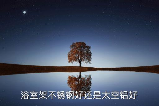 浴室架不銹鋼好還是太空鋁好