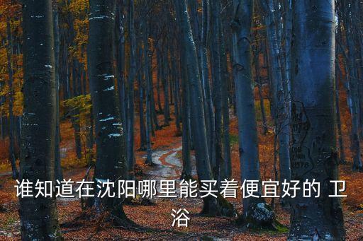 誰知道在沈陽哪里能買著便宜好的 衛(wèi)浴