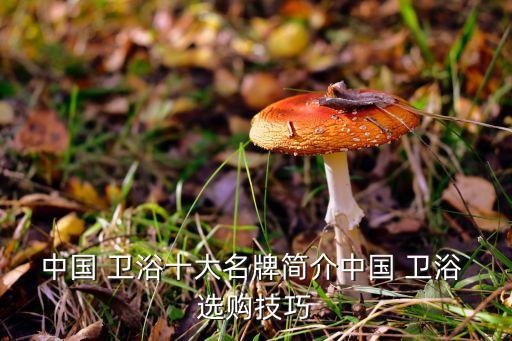海口衛(wèi)浴品牌怎么選購(gòu)好
