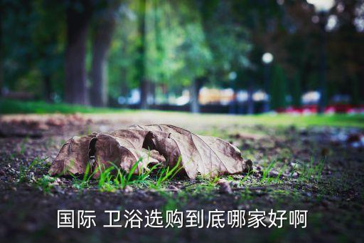 國際 衛(wèi)浴選購到底哪家好啊