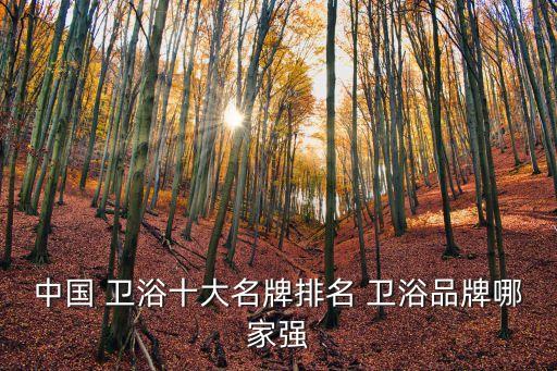 中國 衛(wèi)浴十大名牌排名 衛(wèi)浴品牌哪家強(qiáng)