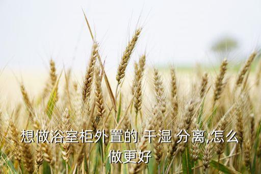 想做浴室柜外置的 干濕 分離,怎么做更好