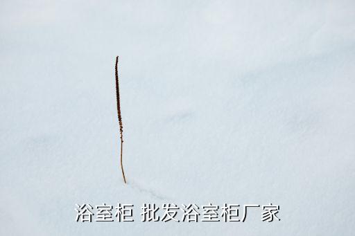 浴室柜 批發(fā)浴室柜廠家