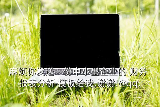 恒通衛(wèi)浴財務(wù)報表模板圖片