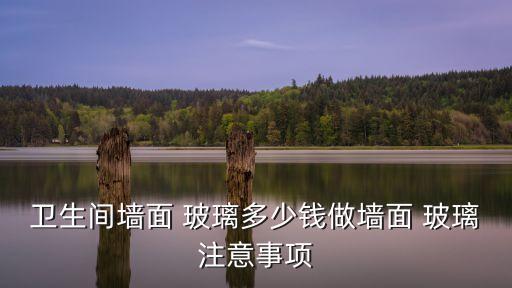 衛(wèi)生間墻面 玻璃多少錢做墻面 玻璃注意事項(xiàng)
