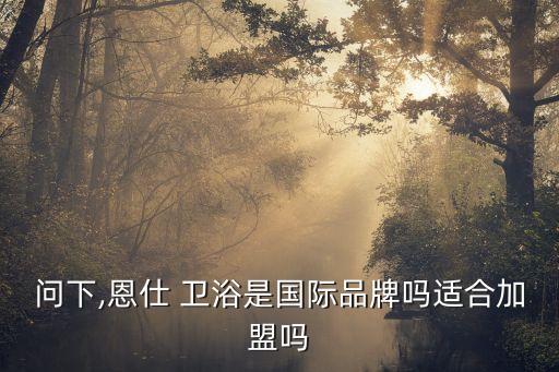 問下,恩仕 衛(wèi)浴是國際品牌嗎適合加盟嗎