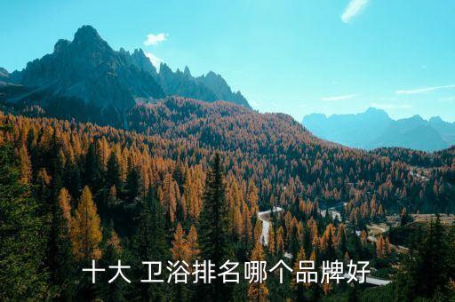 十大 衛(wèi)浴排名哪個品牌好