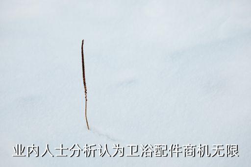 業(yè)內(nèi)人士分析認為衛(wèi)浴配件商機無限